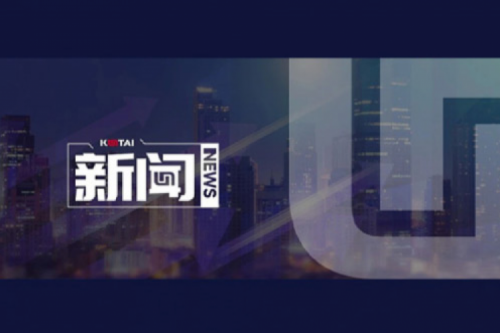 AI驱动新增长，扣非净利提升10%，东升国际官网数码2025一季度稳健开局